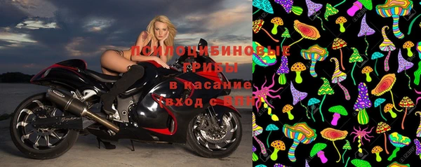 мдпв Осинники