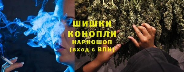 стафф Осташков