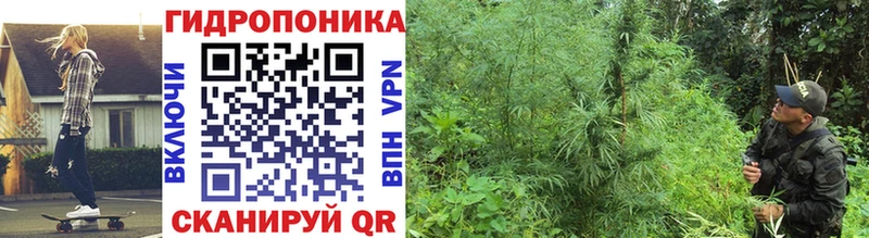 Конопля White Widow  где продают   Заволжье 